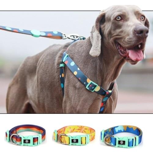 Holiday Anti-dropping Pet Collar Dog Leashing and harnesses Set print adjustable basic collars for Small medium and large dogs