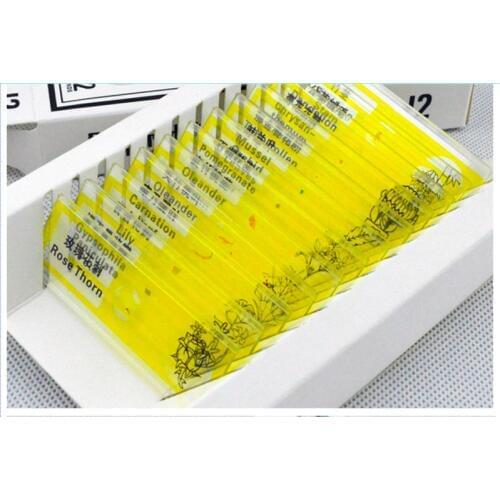 12pcs Yellow Flowers Educational Toy Plastic Prepared Microscope Specimen for Children Biological Microscope