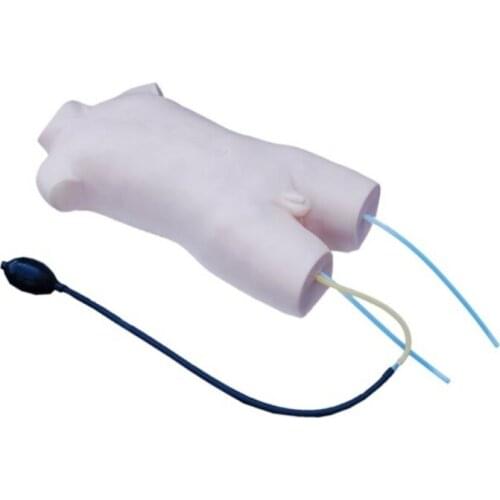 Medical Teaching Child Femoral Vein and Femoral Artery Puncture Training Model