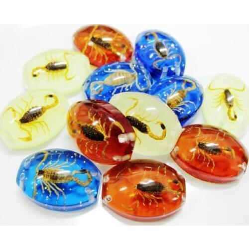 Free shipping 12 pcs specimens real golden scorpion creative gift ornaments vogue jewelry