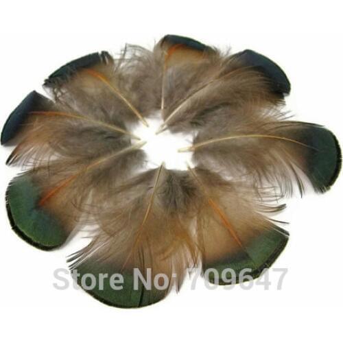 Pheasant Feathers!100Pcs/lot!4-6cm GREEN BRONZE Golden Pheasant Plumage feathers,Golden Pheasant Real feather,Small Feathers