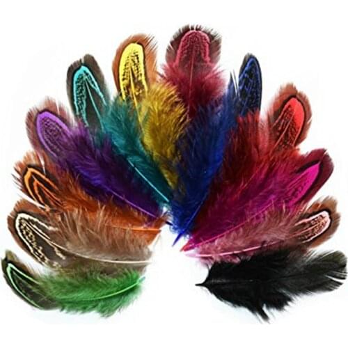 Ringneck Pheasant Feathers for Crafts 4-8CM 2-3" Wedding Feathers Decoration Carnaval Assesoires Natural Pheasant Feather Plumas