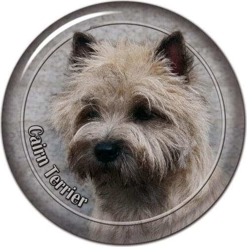S30488# 13CM/15CM/17CM PVC Decal Cairn Terrier Dog V2 Car Sticker Waterproof for Bumper Rear Window Laptop Toilet