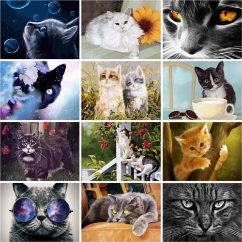 AZQSD 50x40cm Paints By Numbers Animals Pictures Oil Drawing By Numbers Cat Full Set Coloring By Numbers Home Decor