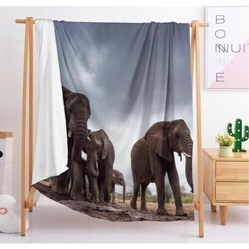 New elephant export Custom blankets Large and small size throw blanket tapestry sleeping blanket soft flannel blanket bedding