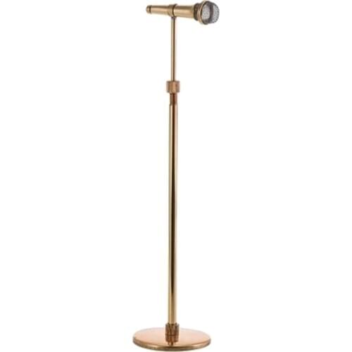 Golden Exquisite Miniature Mic KTV Microphone With Black Case for Musical Decor