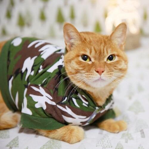 [MPK Cat Wear] Camouflage Pet Coat Dog Clothes Cute Pet Cotton Warm Winter Hooded Clothing for Dogs Sweatshirt Jacket
