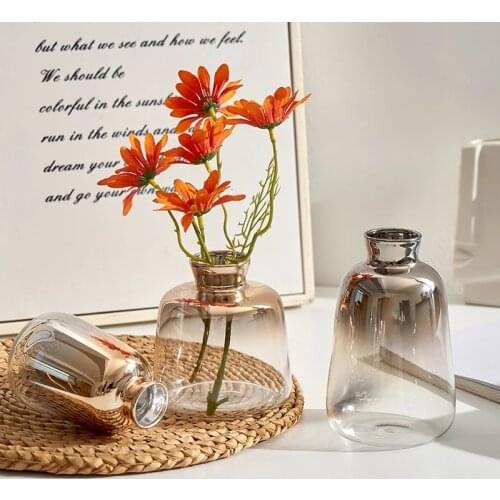Glass Vase Home Decoration Modern Minimalist Home Living Room Hydroponic Small Vase Soft Flower Vases