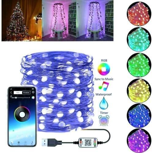 Oobest LED String Lights With Transparent Wire