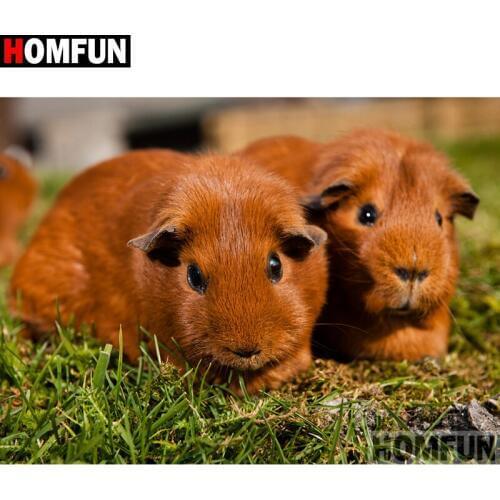 HOMFUN 5D Diamond Painting Full Drill Diamond Embroidery "Animal guinea pig" Picture Of Rhinestone Handmade Home Decor A26139