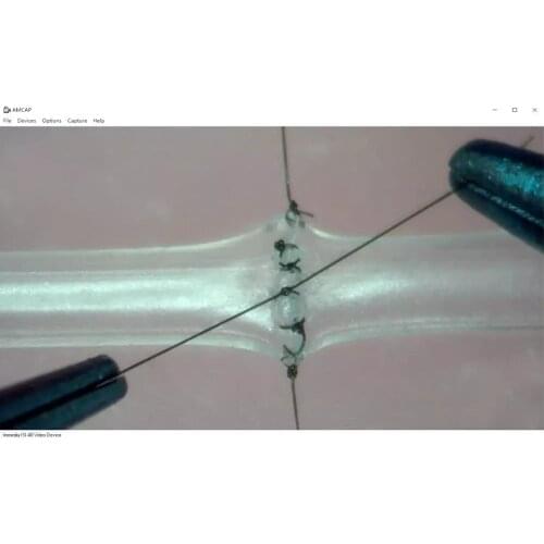 Microsurgical Suture Training Simulation of 1mm/2mm Blood Vessels Teaching Model Ultrathin Neurosurgery Surgery Brand New