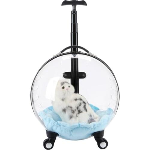 Рюкзаки переноски для кошек DO DO PET China At AliExpress