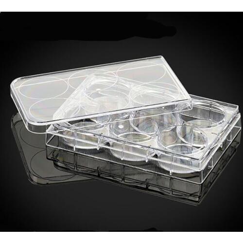 1pc 6 well Tissue culturetreated Cell Culture Plates TC Flat Bottom Lab supplies