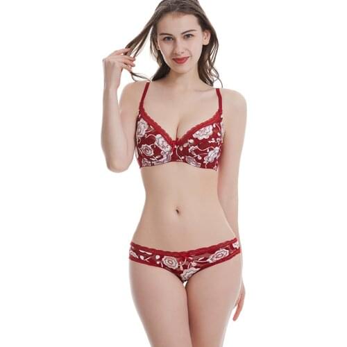 Plus Size Lingerie Set Sexy Exotic Woman Bra Thin Lace Underwear Elegant Beauty Back Brief Sets Push Up Femme Bra and Panty Sets