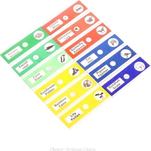 12 Pcs Prepared Microscope Slides Set Specimen For Student Basic Biology Education Au 26 20 Dropship