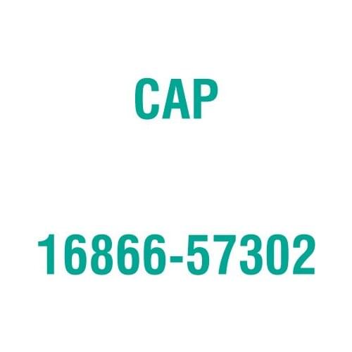 For Kubota 16866-57302 CAP