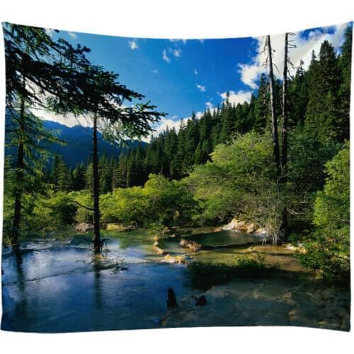Natural Landscape Tapestry Wall Hanging Cloth Bed Spread Beach Towel Table Cloth YogaMat House Decoration Living Room Decoration