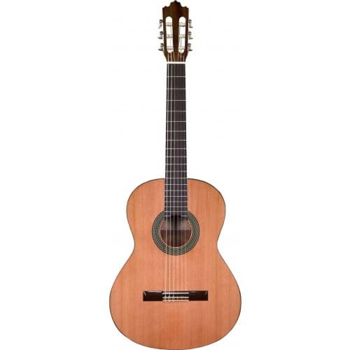 Prodipe Guitars