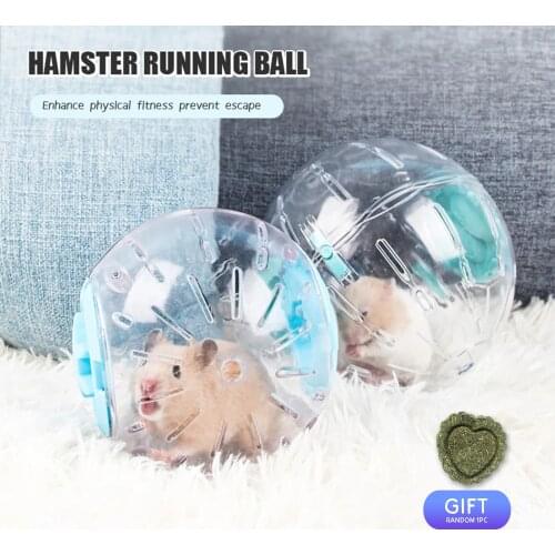 Pet Golden Bear Running Ball Transparent Crystal Hot Wheels Hamster Health Sports Rolling Ball Pet Toy Supplies
