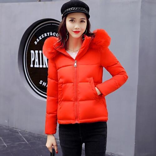 2018 Polyester Zipper Slim Full Flocking Limited Time-limited Winter Korean Of Wear Cotton Dress Small Coat Jacket