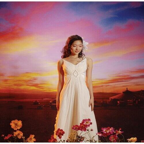 3m*6m Hand painted Muslin wedding Backdrop K7010,toile de fond studio photo ,photography backdrop,backgrounds for photo studio