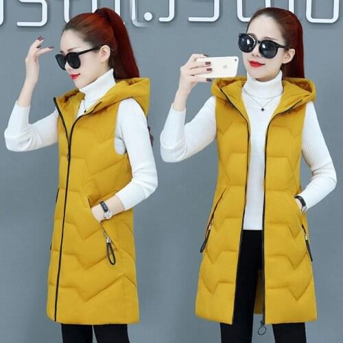 Cheap wholesale 2021 new Autumn Winter Hot selling vest women korean fashion casual warm woman jacket female bisic waistcoat