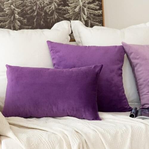 24 Inch Pack of 2, Velvet Soft Solid Decorative Square Throw Pillow Covers Set Cushion Cases Pillowcases for Sofa Bedroom Car