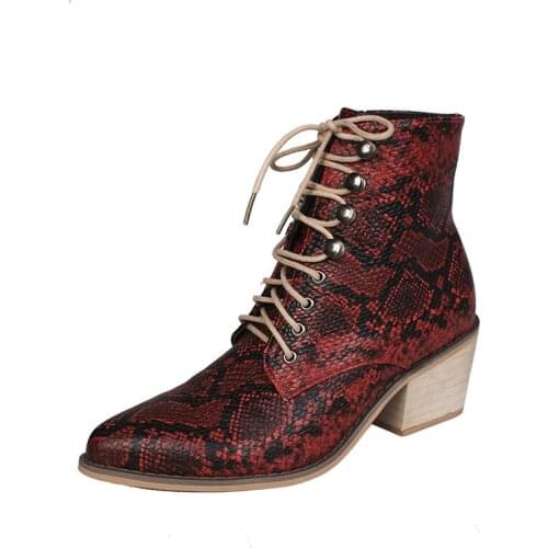 2019 Autumn Winter boots women New Fashion Lace-Up Womens High-heeled Retro Square heel boots Zipper Concise Pointed Woman Boot