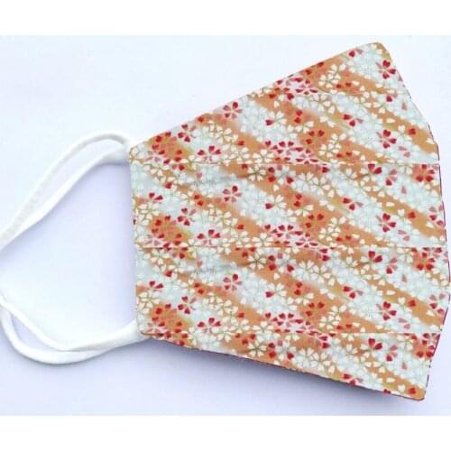 A pair of Cotton Maask Breathable Filter Anti-Haze Washable Elaborate Production Máscara Mascher Маски E