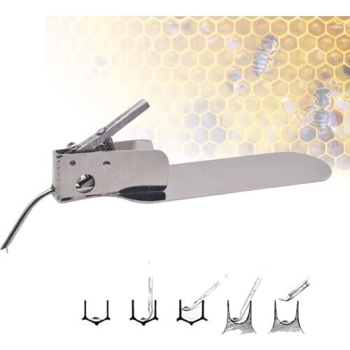 Beekeeping Tools Master Grafting Tool for Grafting Honey Bee Larvae by Transferring with Spare Tongue Beekeeper Equipment