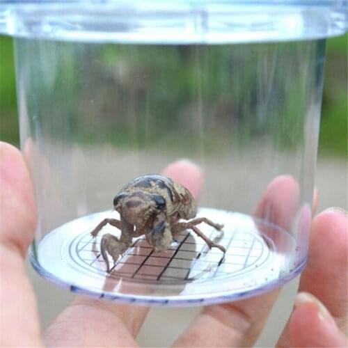 Portable Handheld Magnifying Glass Children Education Toys Insect Feeding Experimental Observation Box Magnifier