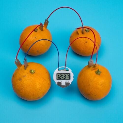 Fruit Biologia Energy Generate Electricity Science Experiment Educational Toys For Children Kids School Electric Stem Kit