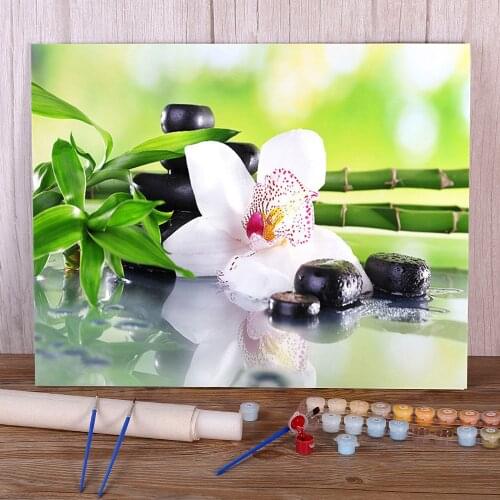 Orchid Flower DIY Painting By Numbers Package Acrylic Paints 40*50 Oil Painting Home Decor Children Drawing