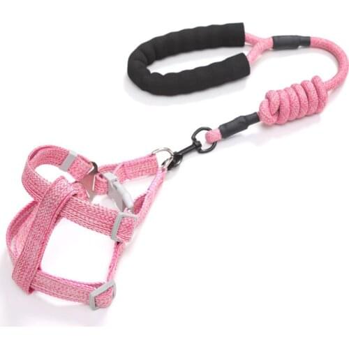 Nylon Training Dog Leash Dog Harness Webbing Recall Long Lead Line Pet Traction Rope Great Dog Collar Accessories