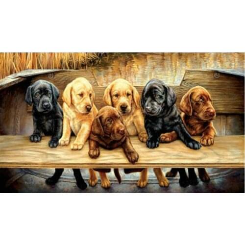 5d diy diamond painting cross stitch kits diamond embroidery Dog picture square diamond mosaic Home Decor rhinestones painting