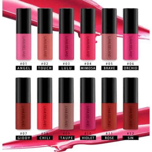 12 Colors Matte Velvet Lip Gloss Easy To Wear Natural Waterproof Long Lasting Moisturizing Makeup Lip Gloss TSLM1