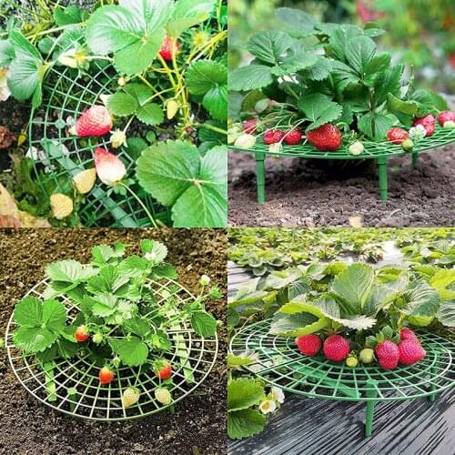 5/10/20pcs Garden Plant Stand Strawberry Supports Frame Holder Balcony Planting Racks Fruit Support Flower Climbing Vine Pillar