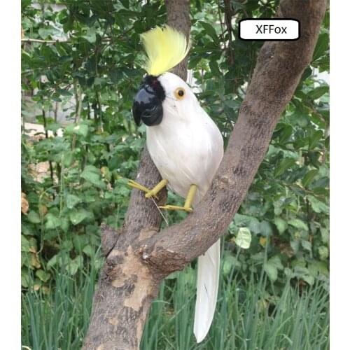 New real life white parrot model foam&feather simulation Cockatoo bird gift about 38cm xf0144