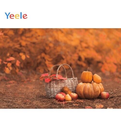 Autumn Forest Pumpkin Basket Baby Portrait Vinyl Backdrop Photography Backdrops Photographic Background For Photo Studio Shoot