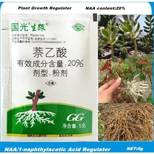 5g/bag 1-naphthylacetic acid (NAA) Regulator plant cutting transplanting seedling rooting increase survival Recovery Germination