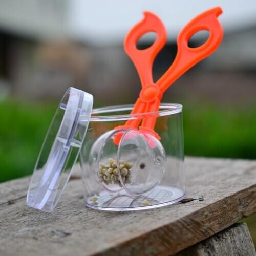 Children plastic insect trap scissors pliers insect trap insect trap toy utility outdoor explorer camping hiking insect catcher
