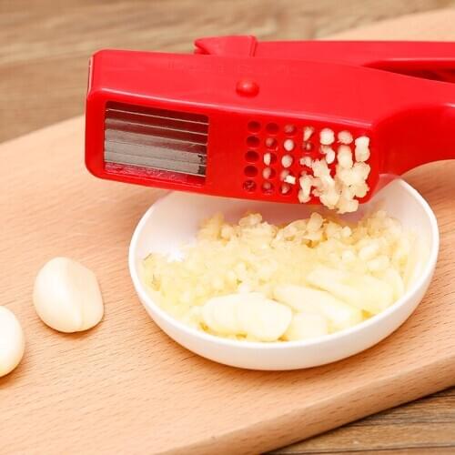 FILBAKE Garlic And Garlic Press