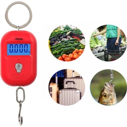 Hanging Scale Keychain Hook 25Kg 5g Travel Luggage With LCD Hanging Steelyard Household Supplies 1PC Mini Digital Scale