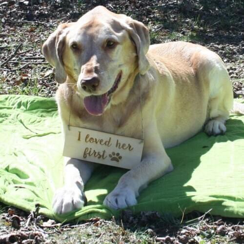 Pet Sign for i loved her first Engagement Photography,wood signs,wedding props,Dog wedding save the date sign
