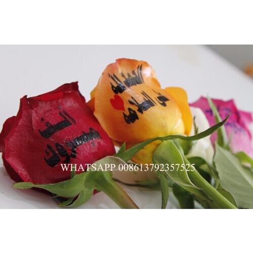 New 10.2'' Touch Screen Digital Nail Printer Fast Shipping nail art equipment digital nail printer