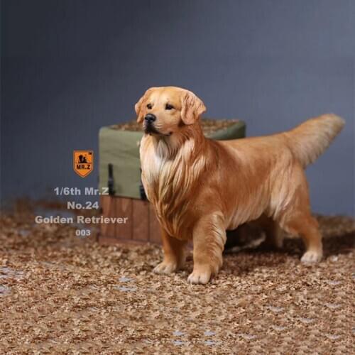 Mr.Z 1:6 Resin PVC No.24 Miniature Animal Model Golden Retriever Dog Models Toy Fit 12" Action Figure Toys Accessories Ornaments