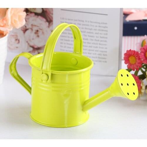Shower Tin Watering Can Portable Wrought Iron Metal Sprinkled With Handle Gardening Tools Plant Spray