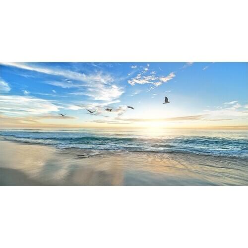 76x 152cmSunsets Natural Bird Blue Sky Sea Beach Landscape Posters and Prints Canvas Painting Wall Art Picture for Living Room