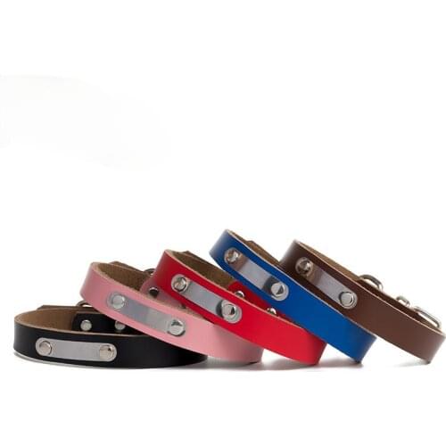 TUFF HOUND Collars