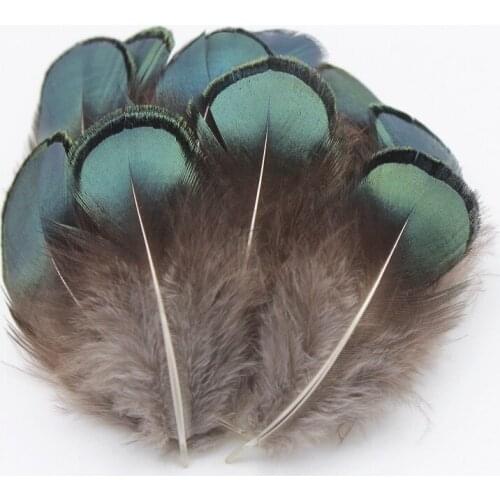 Hot Selling 10 pcs Pretty Natural Pheasant Feathers 5-8 cm DIY Jewelry Clothing Hat Christmas Holiday Decorative